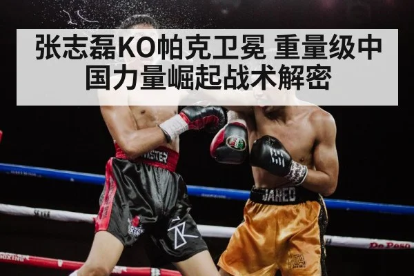 Chinese heavyweight boxer knockout punch